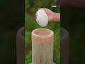 Traditional Chinese Bamboo Shoot Recipe in Rural Village Life