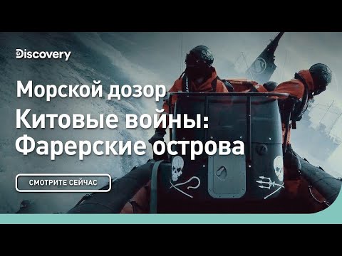 Морской дозор | Китовые войны: Фарерские острова | Discovery