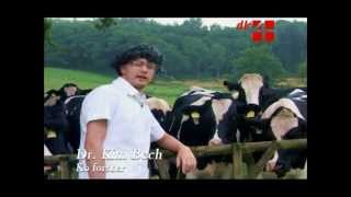 Tv Truck - Kim Hos Ko