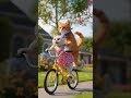 #DreamScreenAI #love #cat #cats #cute #funny #babyanimalslist #babyanimals #foodbaby #catvideos