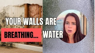 Ancient Wisdom Meets Building Science: Vapour Diffusion Explained | Part III