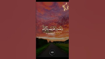 📖سورة الرعد 🎙️شريف مصطفى