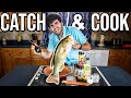 HUGE BASS BACK TO BACK! (Catch & Cook)