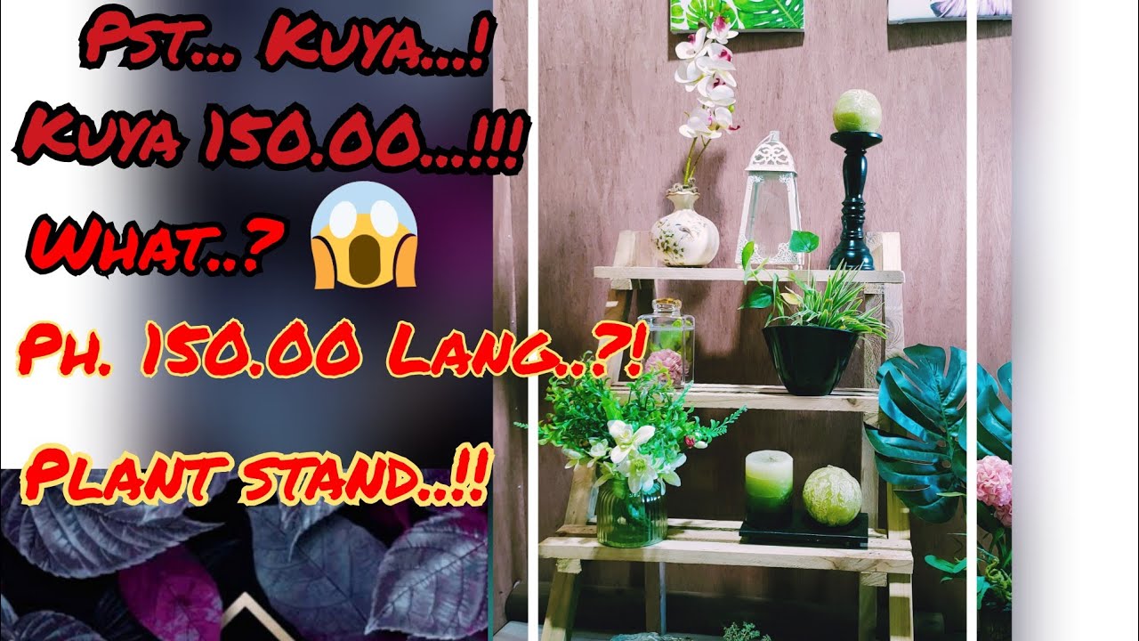 #LadderizedPlantStand