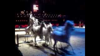 lorenzo international horse show action symfomania