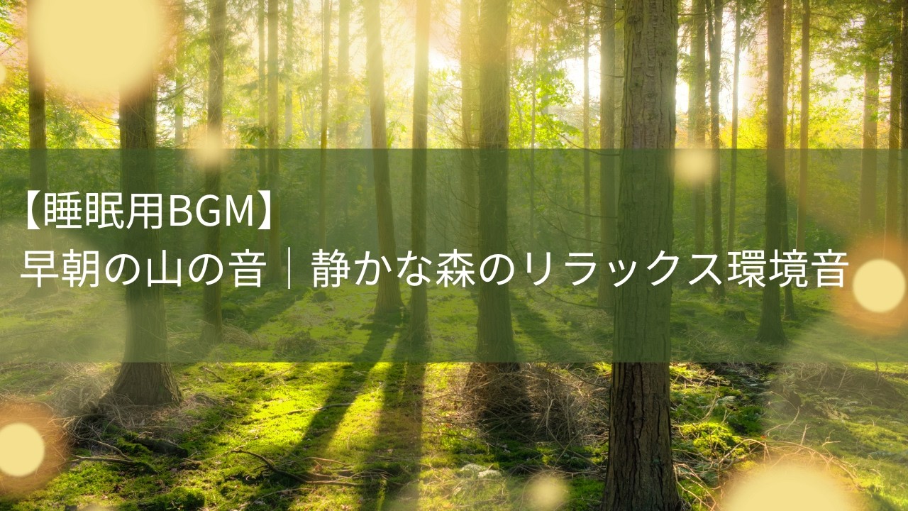 【8時間】睡眠用BGM　早朝の山の音｜静かな森のリラックス環境音