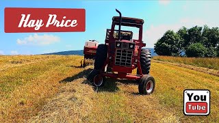 Hay Pricing