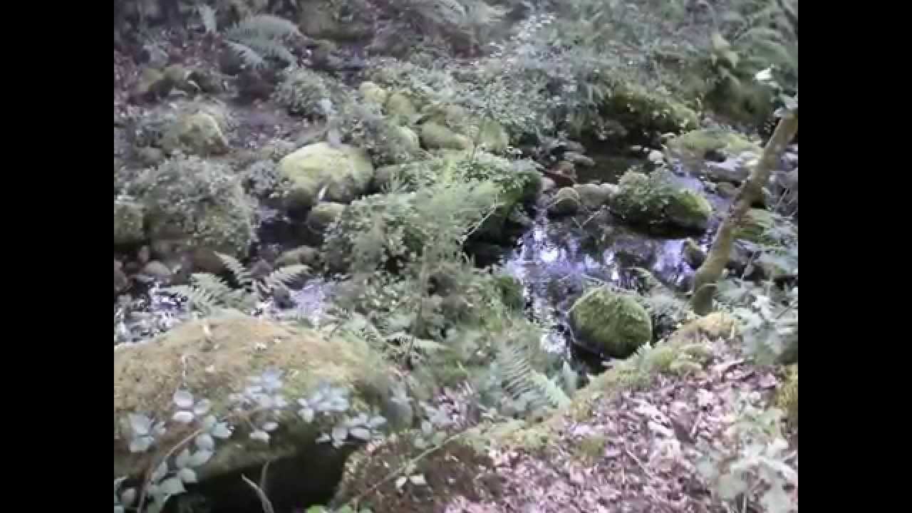Paseo por el Camiño Real (Antas-A Lama) Galicia