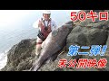 クエ【アラ】 50キロ巨大アラ第二弾‼ 未公開映像と裏話　“50kg Kue: The Untold Story”