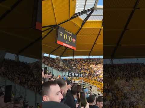 Dynamo Dresden Fans