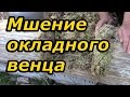 Укладка на мох окладного  (первого) венца. Сруб своими руками. Часть 7/5.