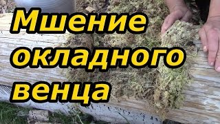 Укладка на мох окладного (первого) венца. Сруб своими руками. Часть 7/5.(Автор Валерий Самович. Для улучшения теплотехнических характеристик, для герметизации стыка окладного..., 2014-09-24T18:25:16.000Z)