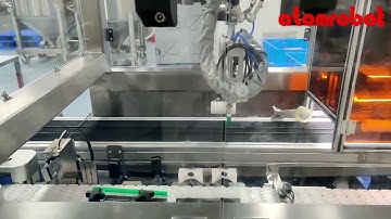 Delta robot from Atomrobot