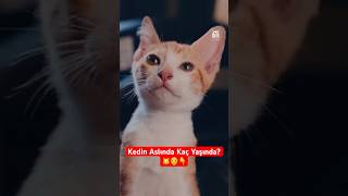 Kedin Aslında Kaç Yaşında?