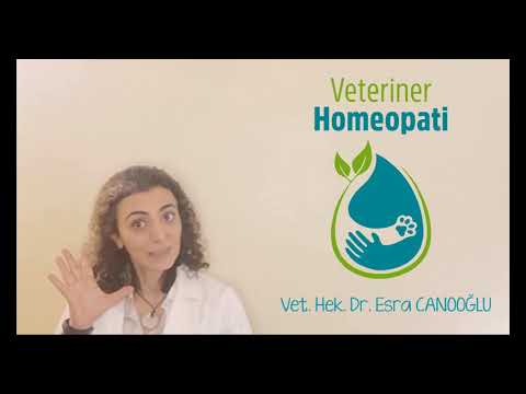 Video: Evcil Hayvanlar Için Homeopatik Tıbba İlişkin Amerikan Veteriner Derneği Kararı