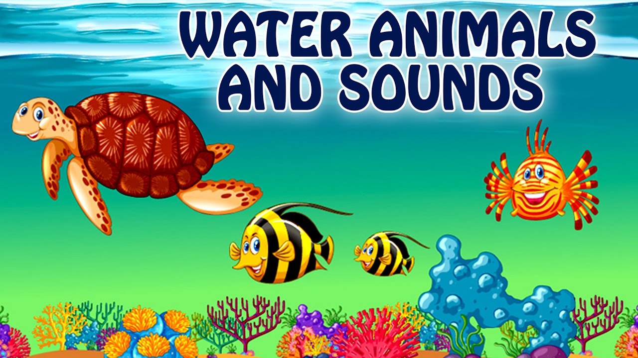 Sea Animals For Kids | Learn Water Animals Names And Sounds For Kids -  Animal Series For Children - YouTube