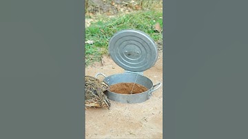 Creative DIY Bird Trap - Quail Trap #simple unique bird trap #shorts