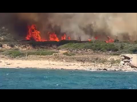 Incendio en la playa de Tarifa: dos helicópteros, dos autobombas y 20 bomberos contra el fuego