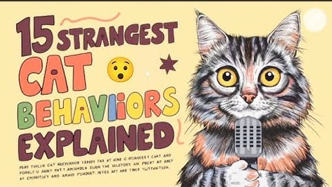 15 strangest cat behaviors explained