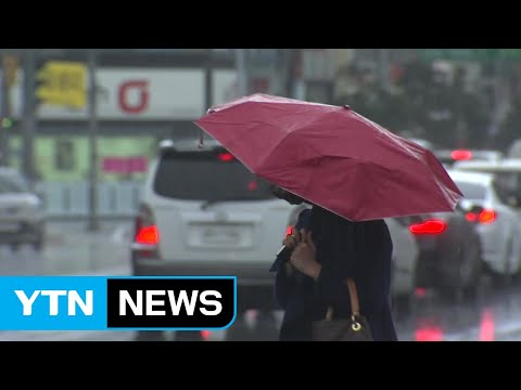 [날씨] 휴일, 전국 추위 부르는 비...낮에도 쌀쌀 / YTN