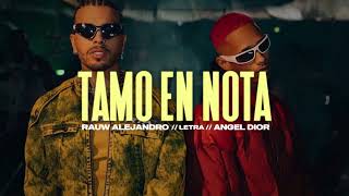 TAMO EN NOTA Acapella - Rauw Alejandro, Angel Dior.