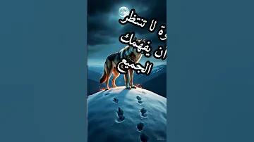 ثلاث دروس تعلمك ان الحياة مضمونها القوة اقتباسات حكمة اليوم كلام من ذهب دروس الزمان 