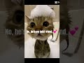 He’s just a cat! #memes #funnymemes #funny #jokes