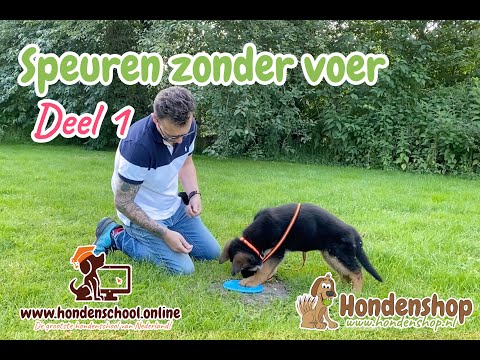 Video: 5 voordelen van het voeren van uw hond een rauw dieet