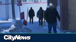 Violence against boys and men increasing in Canada