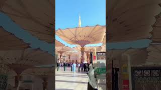 mere akaku dekogi #islamicshortvideo #subscribe #syedmukarrambari #ringtone #duet #sayedmukarrambari