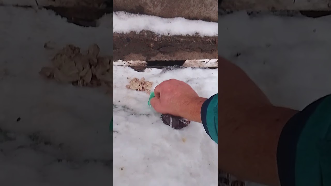 Большому дядьке - много мяса 🍗