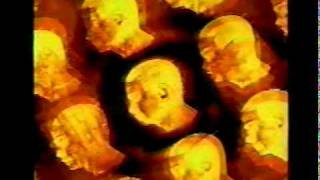 Watch Cool Cat Again video