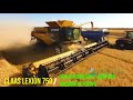 Зерноуборочный комбайн CAT LEXION 750