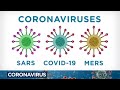 Coronavirus: What does COVID-19 do to your body and why does it spread so easily?