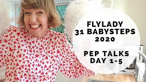 Flylady 31 Babysteps for Beginners! 2020 Instagram series (Days 1-5)