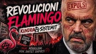 Revolution Flamingo - Kundra sistemit ( Rama Ik)