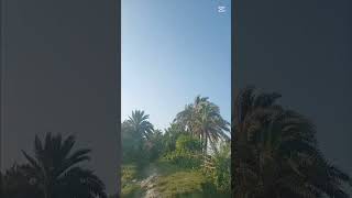 pov:you accidentally  open my #song #music #newsong #entertainment gallery