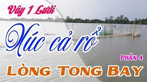 Bắt cá mùa nước nổi ở miền tây, kéo lưới bắt cá trên đồng đầy nước, (Phần 4) [Sông nước miền tây tv]
