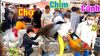 Độc lạ nhất Việt Nam.Rất đa dạng các loại thú cưng như gà,chim,thỏ, lợn, ngỗng...!