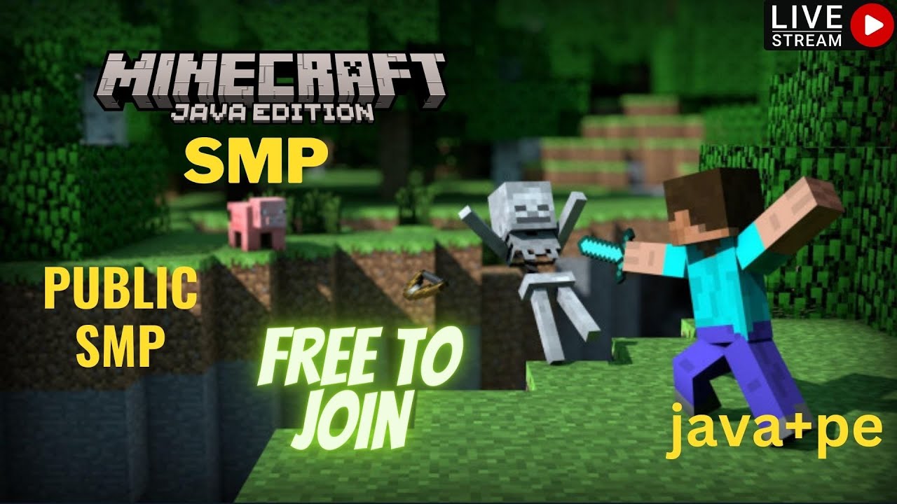 MINECRAFT LIVE STREAM | JOIN MY PUBLIC SMP JAVA / POCKET EDITION 24/7 ...