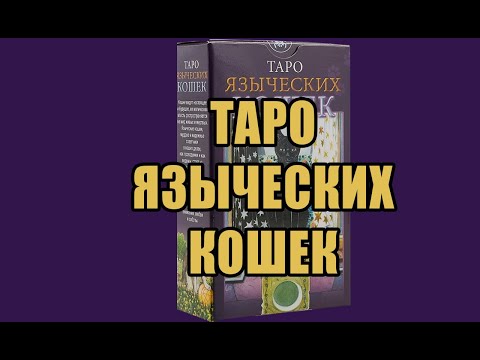 Колода Таро «Языческих Кошек»