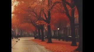 DEN&S-Noiembrie pe pielea mea M&M