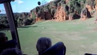 VIDEOS DE CABARCENO DE ANIMALES POR ESPE