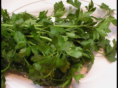 Parsley 101-About and Health Benefits