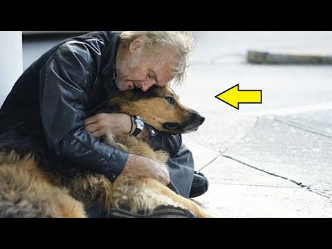 Video: Nedēļas adaptējamā suņa Berlynn