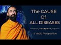 2 Reasons Why People Fall Sick - Swami Mukundananda Talks to Doctors At MD Anderson Cancer Center