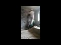 T J Roberts Decorating 
#painter and decorator
#harrogate
#knaresborough
#boroughbridge
#ripon
#wallpapering