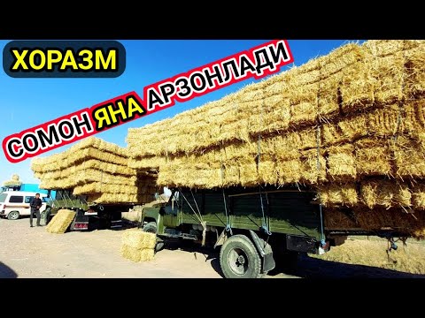 СОМОН НАРХЛАРИ АРЗОНЛАДИ