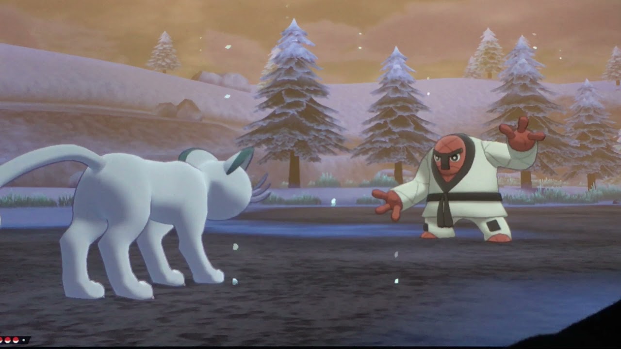 One Hour of Shiny Hunting