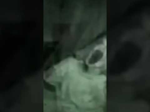 رح شوفه ومشاهدة ممتعة شتركو نوصل الف او الفين وكثر اكسبلور